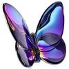 bfly22